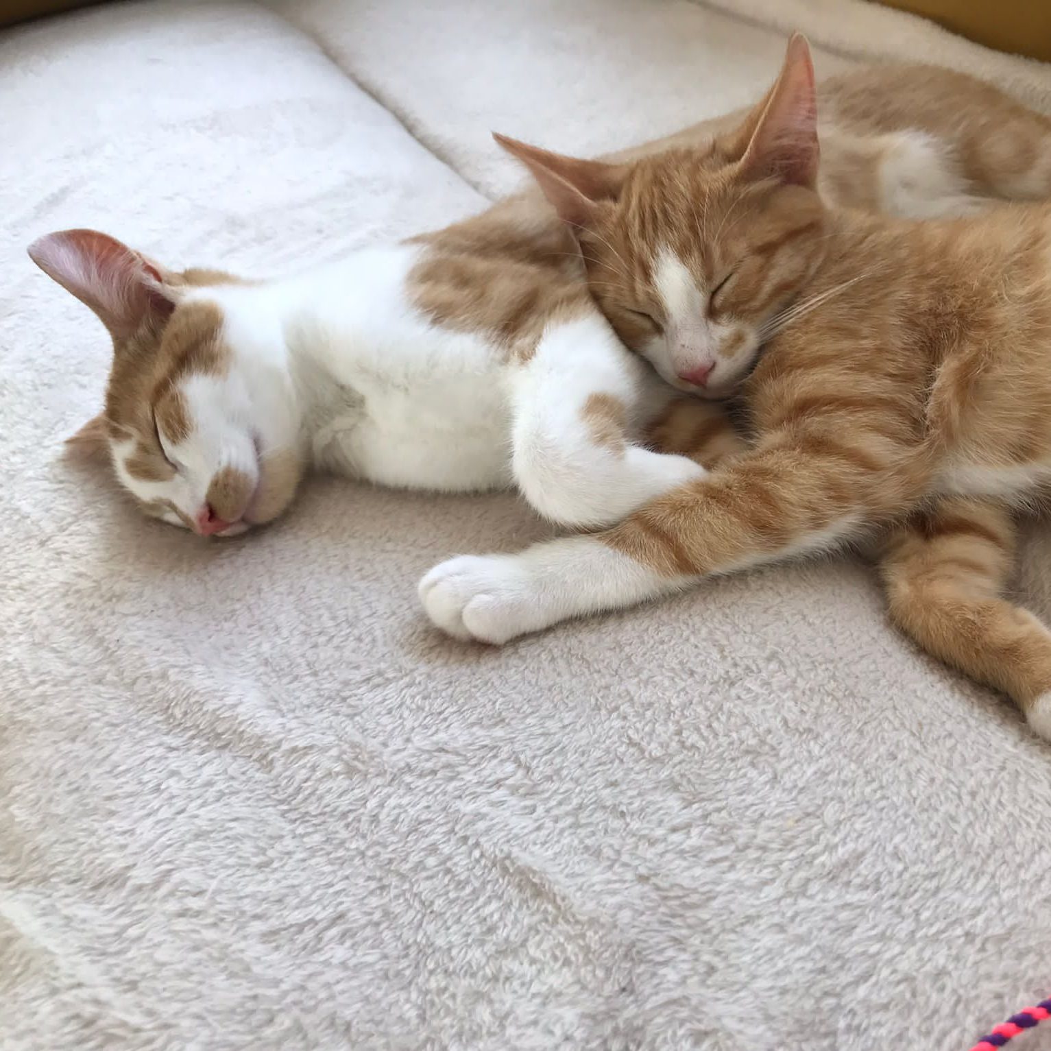 5 tips to become emotionally balanced